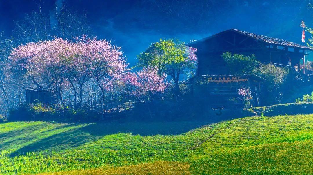 动物帮帮忙保卫家园