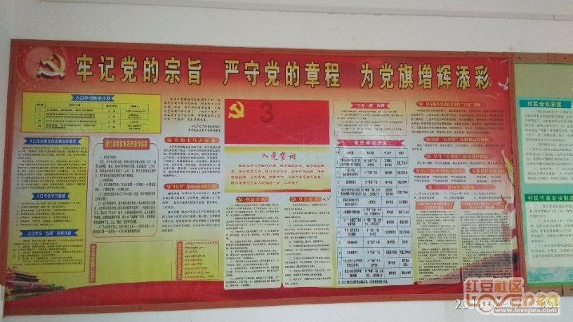 小猫钓鱼正版下载中文版