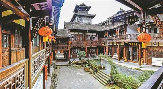 房间有触角又小又会跳的虫该怎么消灭- 专业的问答类网站